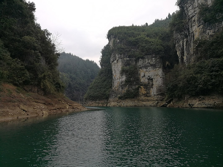 浏览器打开49图库
