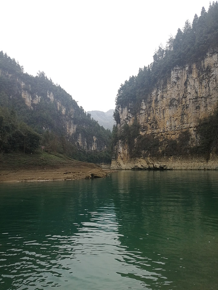 浏览器打开49图库