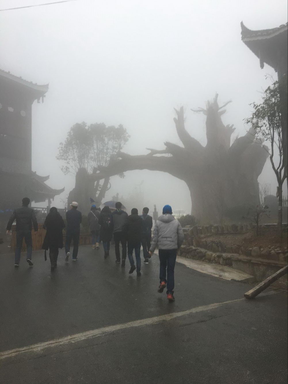 浏览器打开49图库