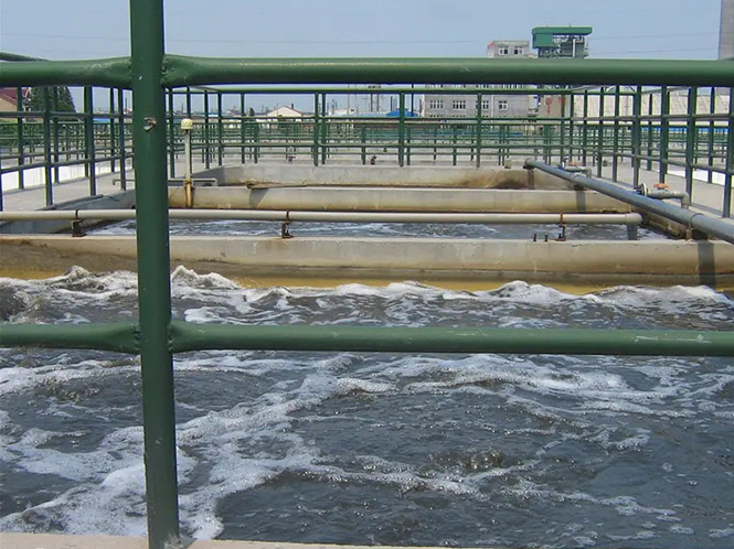 浏览器打开49图库