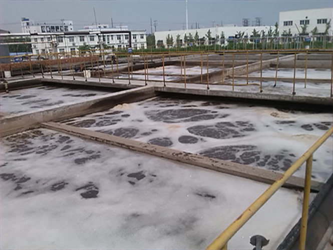 浏览器打开49图库