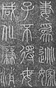 浏览器打开49图库