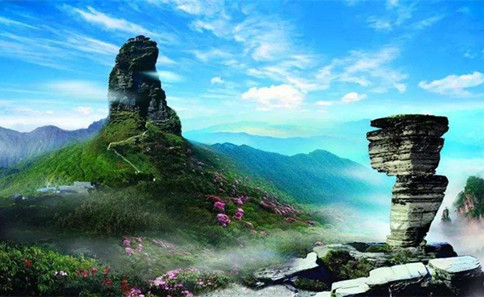 浏览器打开49图库