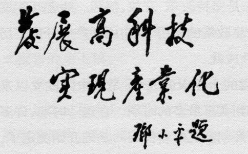 浏览器打开49图库
