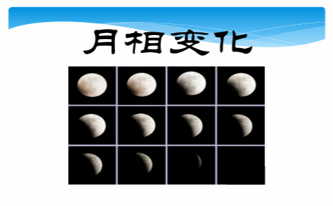 浏览器打开49图库