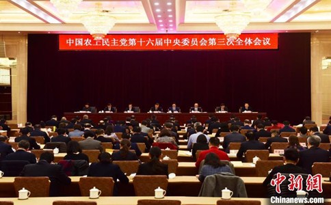 浏览器打开49图库