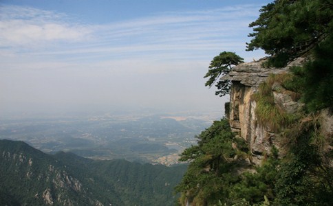 浏览器打开49图库