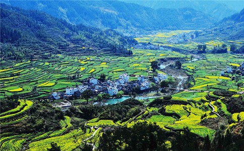 浏览器打开49图库