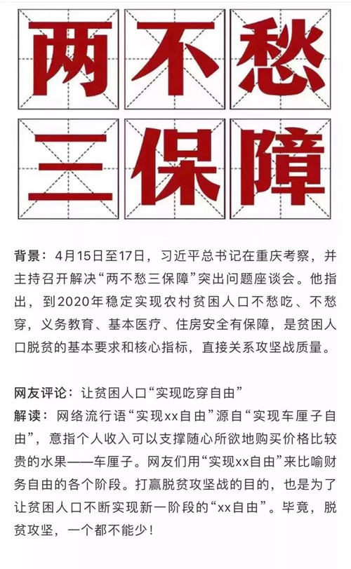 浏览器打开49图库