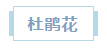浏览器打开49图库