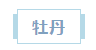 浏览器打开49图库