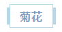 浏览器打开49图库
