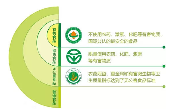 浏览器打开49图库