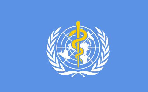 浏览器打开49图库