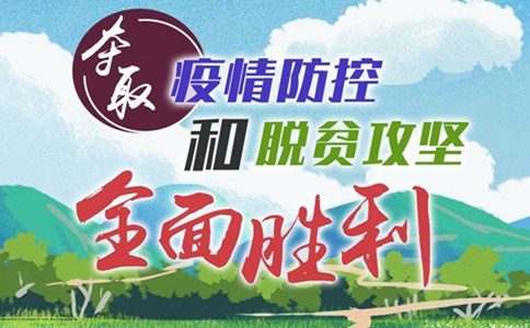浏览器打开49图库