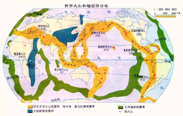 浏览器打开49图库