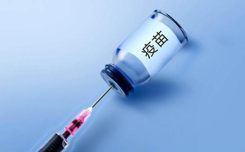 浏览器打开49图库