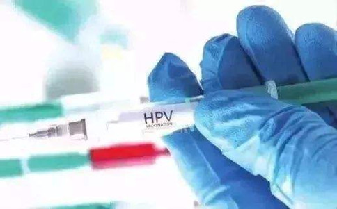 浏览器打开49图库