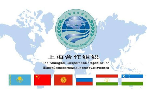 浏览器打开49图库