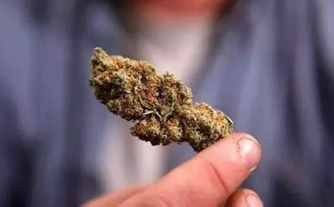 浏览器打开49图库