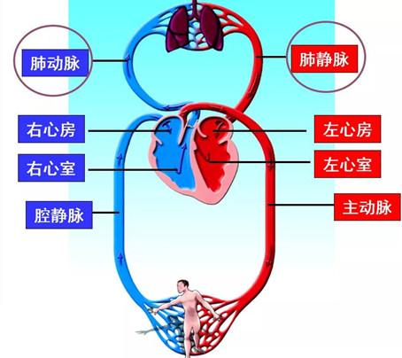 浏览器打开49图库