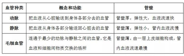 浏览器打开49图库