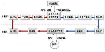 浏览器打开49图库
