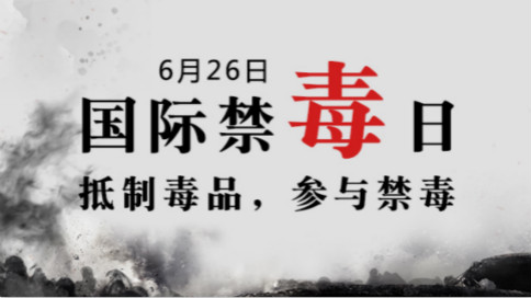 浏览器打开49图库