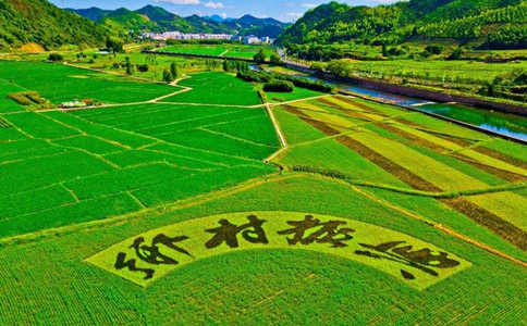 浏览器打开49图库