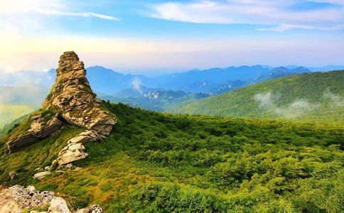 浏览器打开49图库