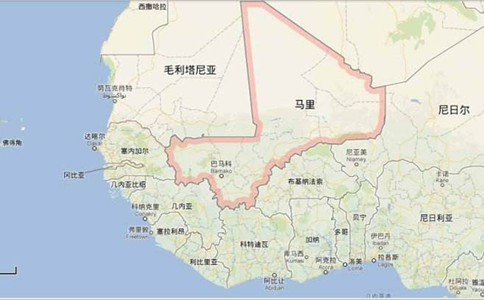 浏览器打开49图库