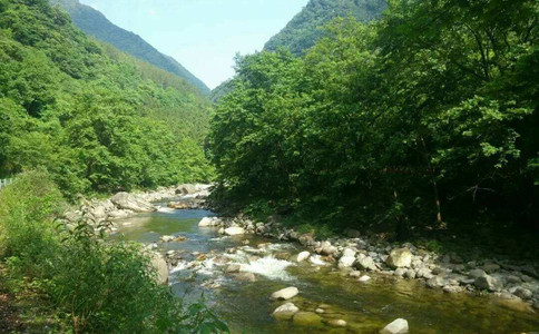 浏览器打开49图库