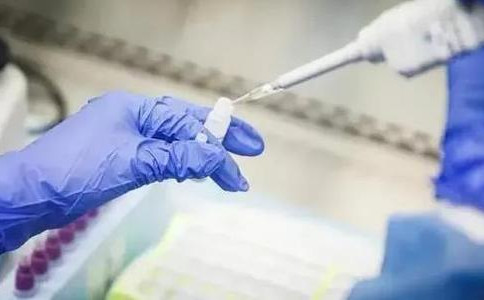 浏览器打开49图库