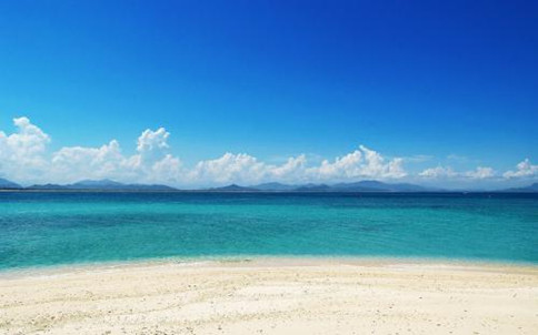 浏览器打开49图库