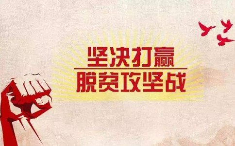 浏览器打开49图库