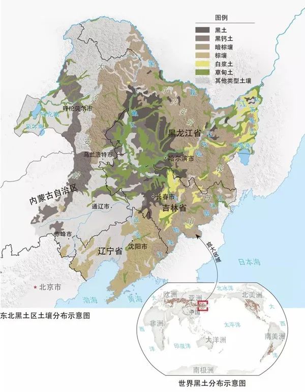 浏览器打开49图库
