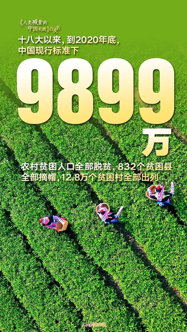 浏览器打开49图库