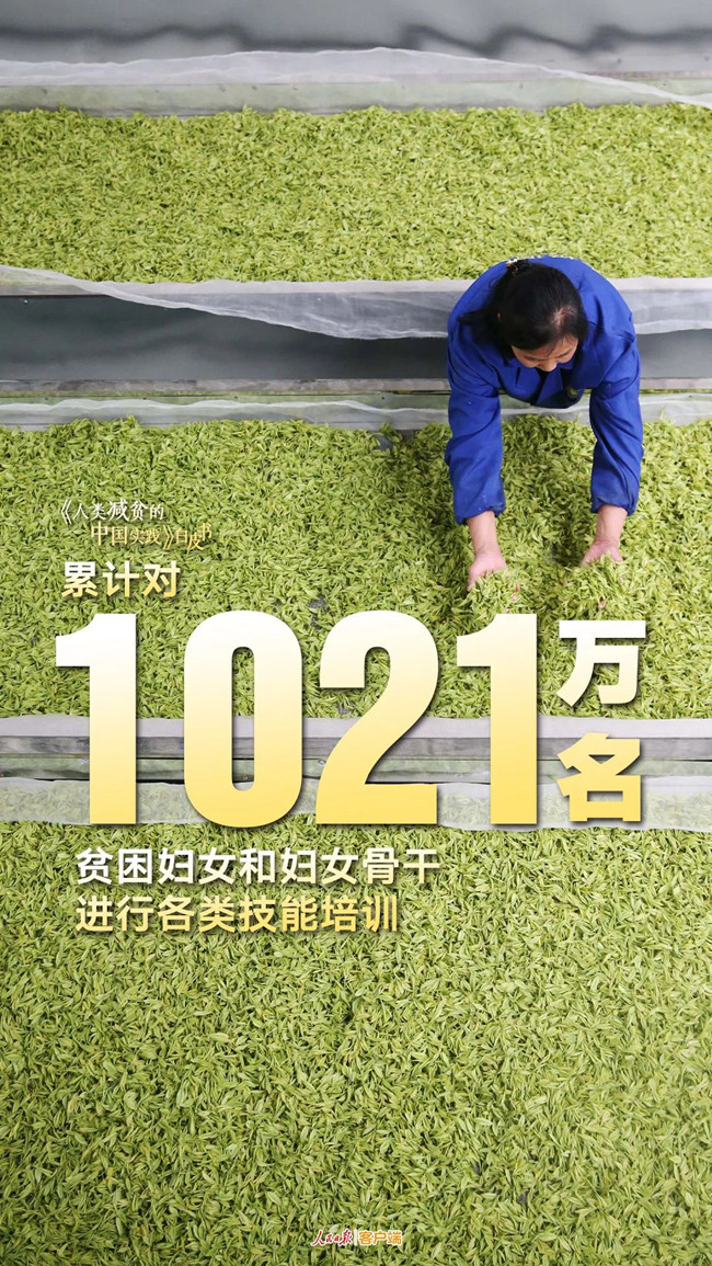 浏览器打开49图库