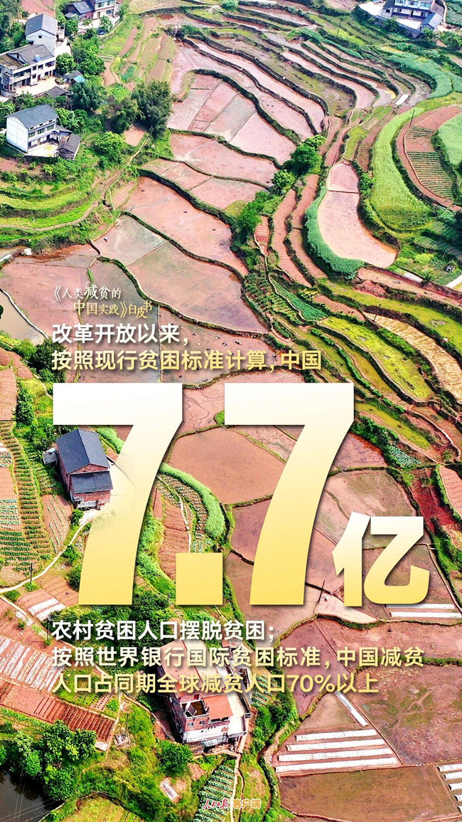 浏览器打开49图库