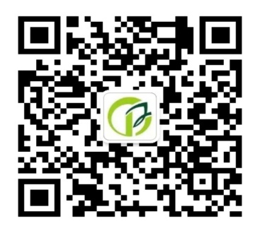 浏览器打开49图库