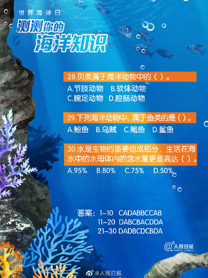 浏览器打开49图库