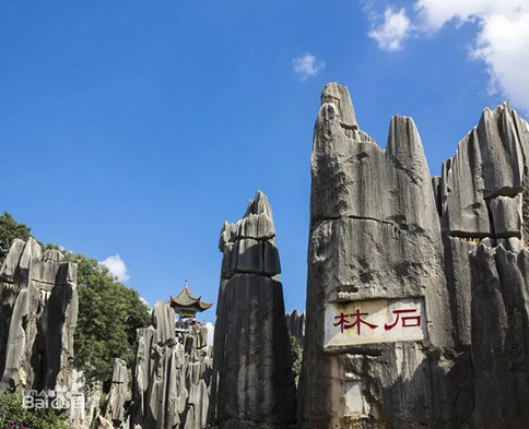 浏览器打开49图库