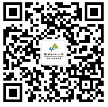 浏览器打开49图库