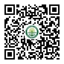 浏览器打开49图库