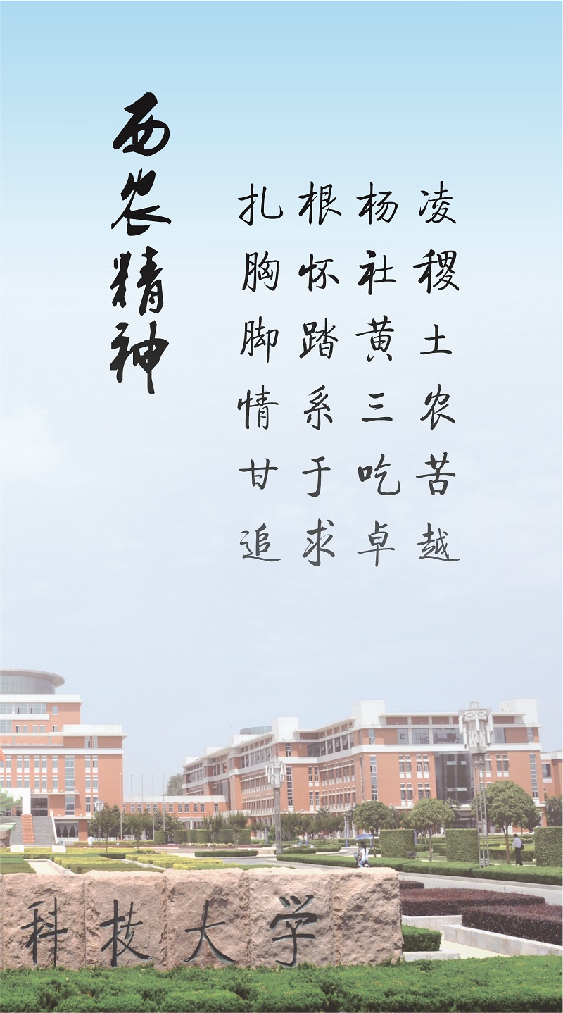浏览器打开49图库