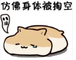 浏览器打开49图库