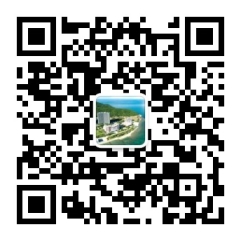 浏览器打开49图库