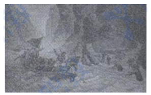 浏览器打开49图库