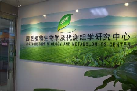 浏览器打开49图库
