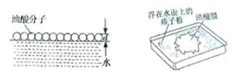 浏览器打开49图库